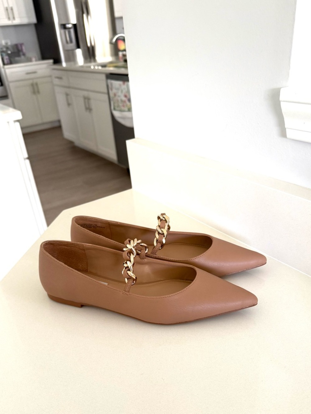 Pointed Toe Mary Jane Flats with Gold Chain in Taupe